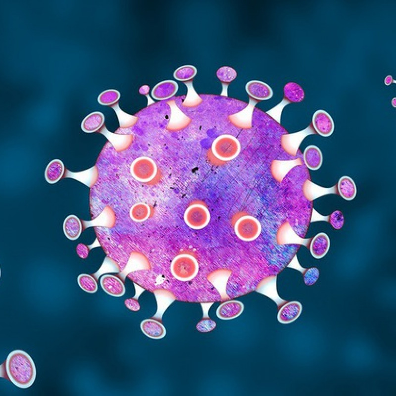 Rappresentazione artistica di coronavirus (fonte: chiplanay(Pixabay)