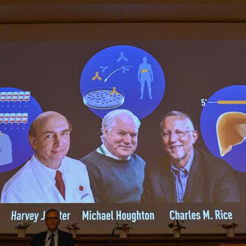 Nobel Committee member Patrik Ernfors sits in front of a screen displaying the winners of the 2020 Nobel Prize in Physiology or Medicine, (L-R) American Harvey Alter, Briton Michael Houghton and American Charles Rice, during a press conference at the Karolinska Institute in Stockholm, Sweden, on October 5, 2020. - Americans Harvey Alter and Charles Rice as well as Briton Michael Houghton win the 2020 Nobel Medicine Prize for the discovery of Hepatitis C virus. (Photo by Jonathan NACKSTRAND / AFP)