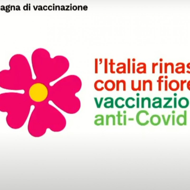 La primula scelta come simbolo della campagna vaccinale anti-Covid