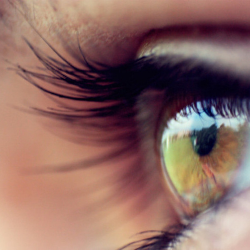 Riprodotta in laboratorio la congiuntiva dell'occhio umano (fonte: M. Catania, Flickr)