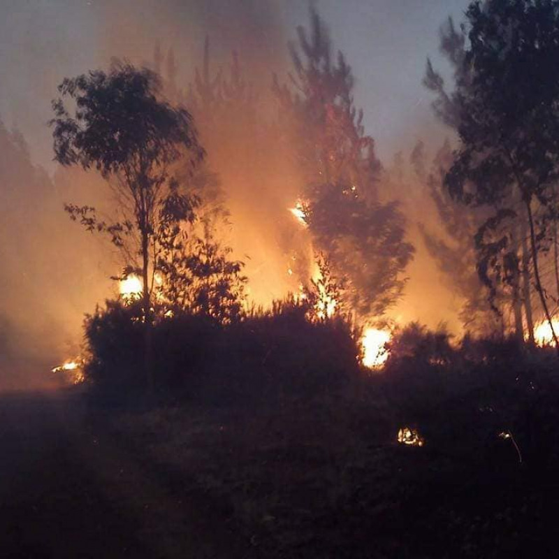 Incendio nel bosco di Chiaramonte Gulfi del 25 giugno 2021