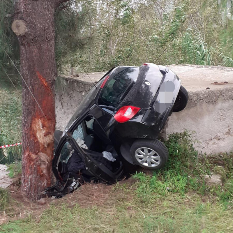 L'auto che si è schiantata contro un albero gigante di pino