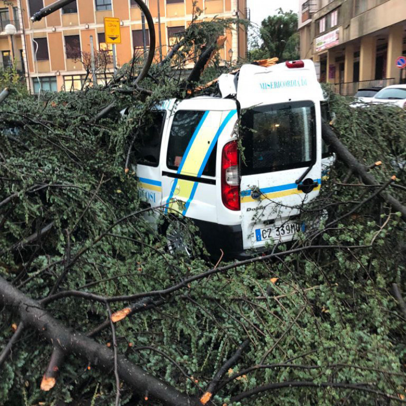 Alberi caduti dopo il tornado a Catania