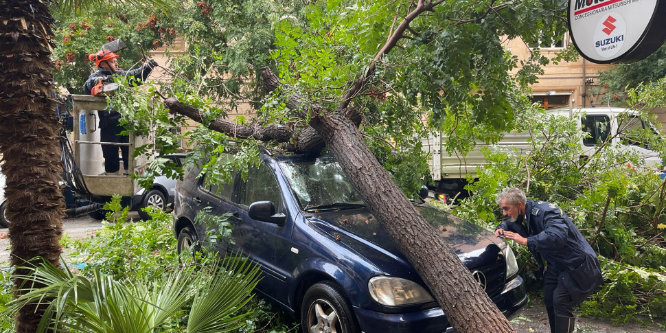 Le Foto Dell'ondata Di Maltempo Su Palermo: Alberi Sradicati ...