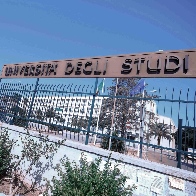 L'Università degli Studi di Palermo