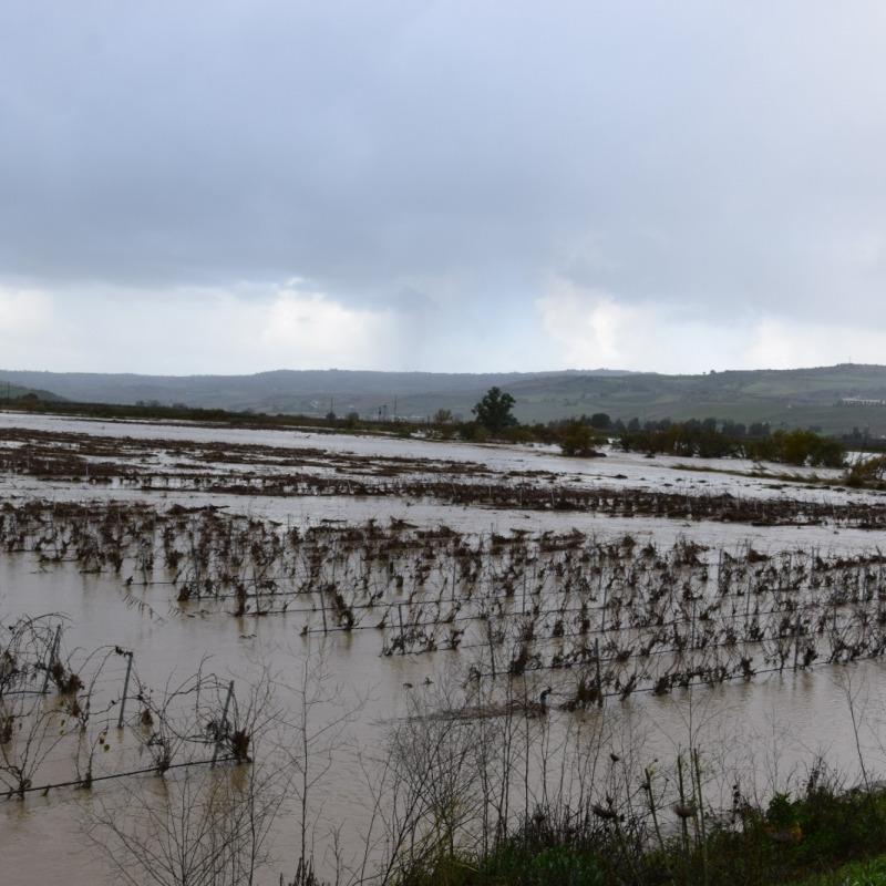 L'inondazione della Valle del Belice a dicembre