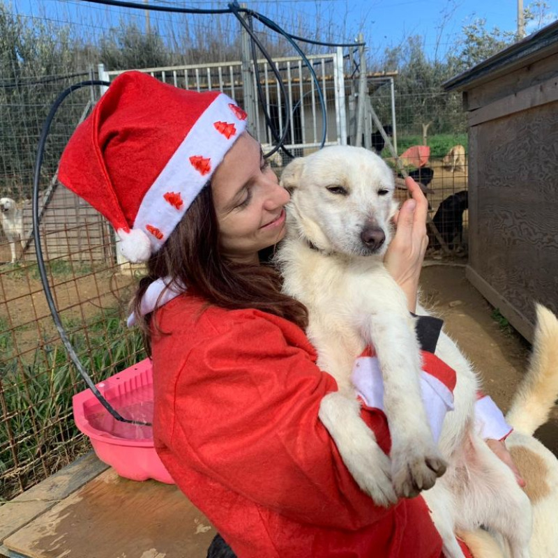 Chiara Calasanzio con il costume di Babbo Natale nel suo rifugio per cani (Foto Pantano)