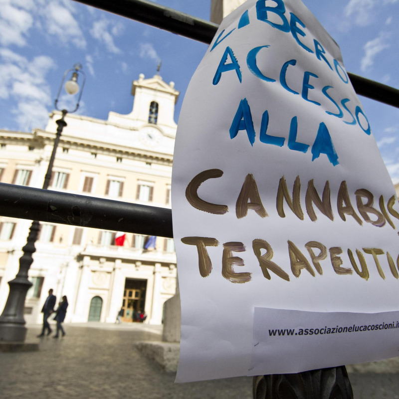 Manifestazione a Roma per la cannabis terapeutica