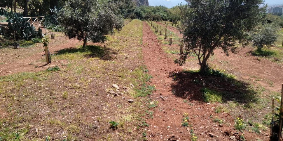 https://assets.gds.it/2022/04/parco_favorita-970x485.jpg