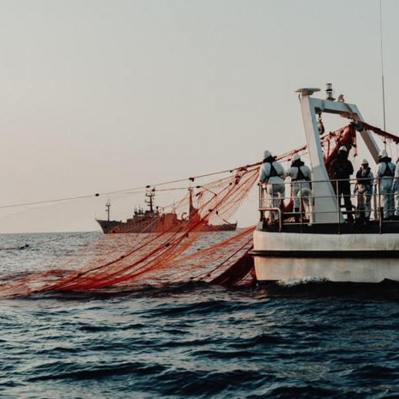 L'equipaggio della Sea Shepherd recupera una rete (foto d'archivio)