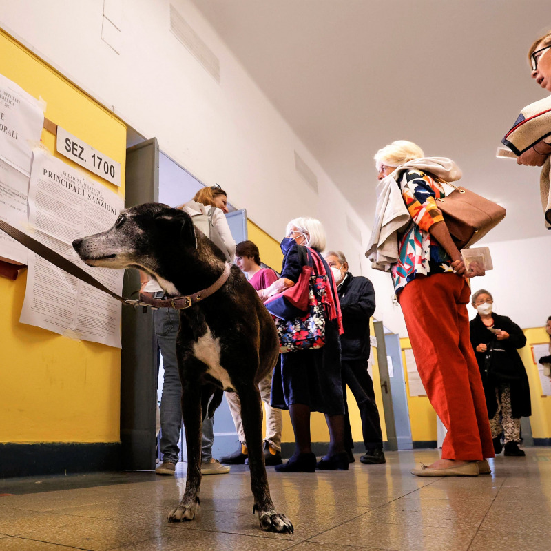 Elettori in coda in un seggio di Roma. Il cane... non vota
