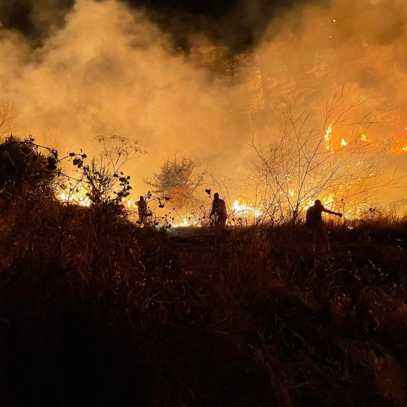 Incendi in Sicilia (foto d'archivio)