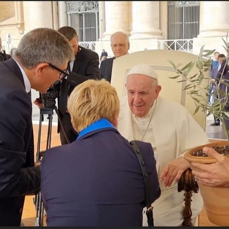 Papa Francesco ha benedetto l'ulivo
