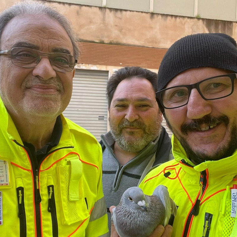 Da sinistra: Roberto Alaimo, Tonino La Rocca e Gianluca Deoma col piccione soccorso