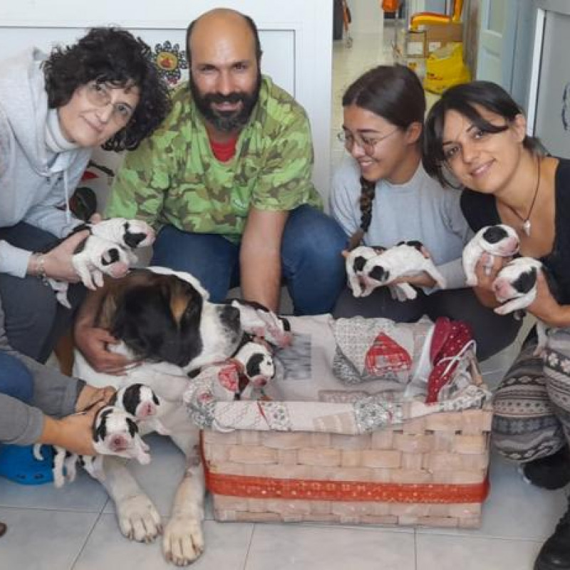 Sara Garofalo con amici e i dieci cuccioli (foto Notiziarioeolie.it)