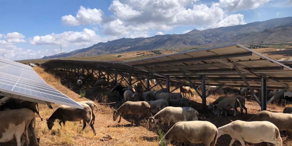 Dall'eolico al fotovoltaico, Aquila Clean Energy investe in Sicilia -  Giornale di Sicilia