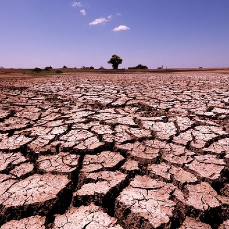 L'Europa sempre più minacciata dalla siccità (fonte: Herbert Bieser da Pixabay)