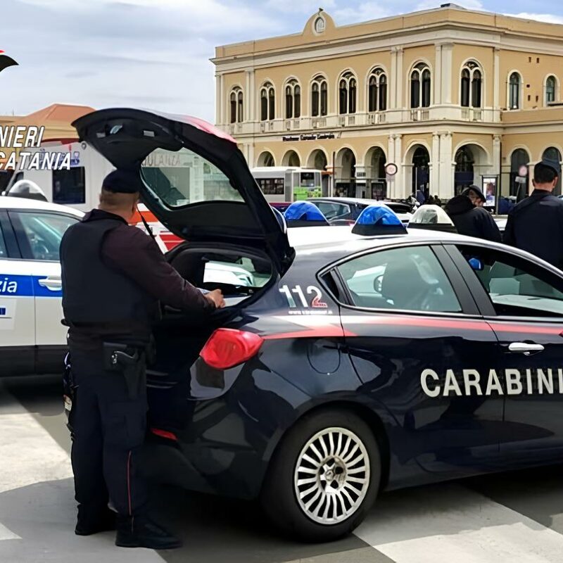 Lotta all'abusivismo a Catania, controlli a tappeto dei carabinieri: in un furgone per panini anche topi e immondizia