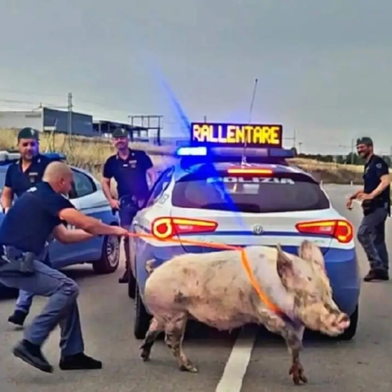 L'intervento della polizia sulla Palermo-Agrigento (foto profilo Facebook Questura di Agrigento)