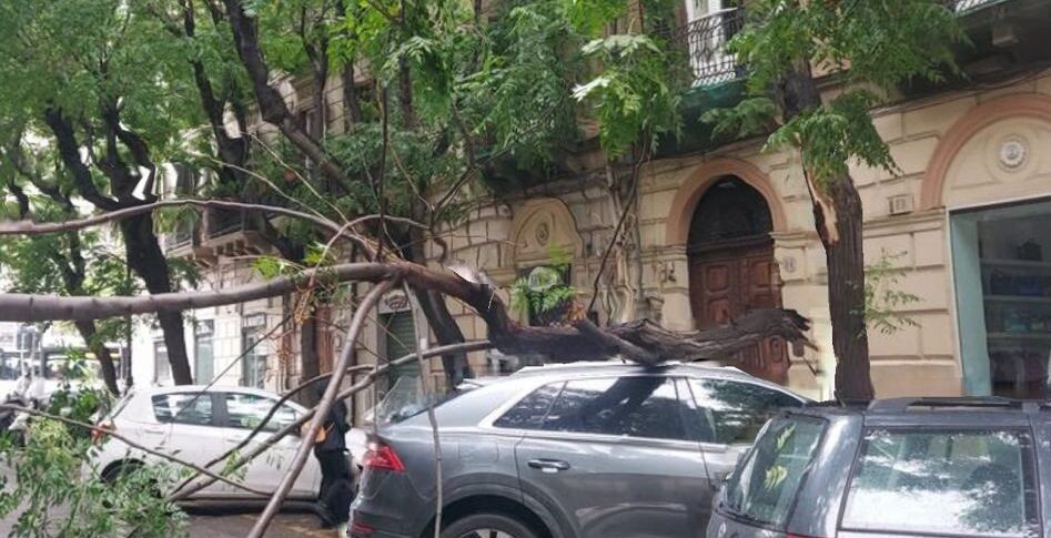 Maltempo, Ancora Allerta Gialla In Sicilia: A Palermo Un Grosso Ramo ...