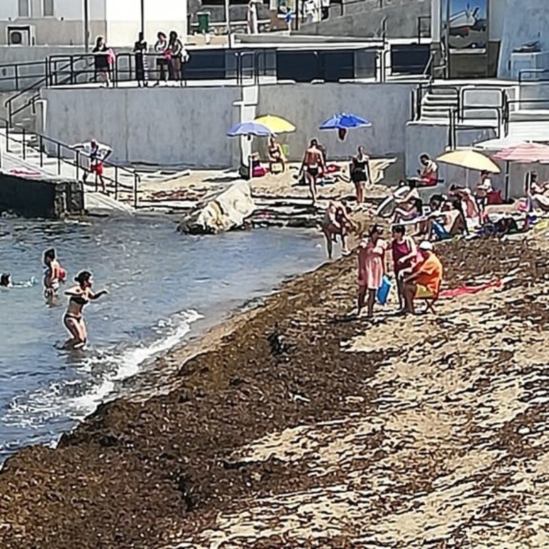 La posidonia invade le spiagge ad Aspra