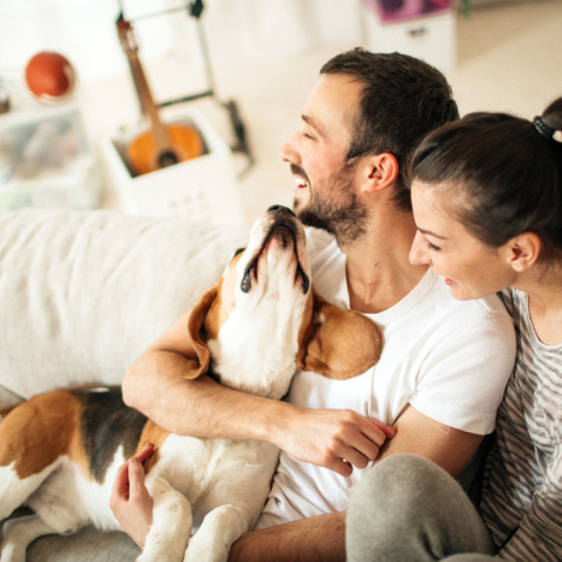 Un cane felice con la sua famiglia foto iStock.