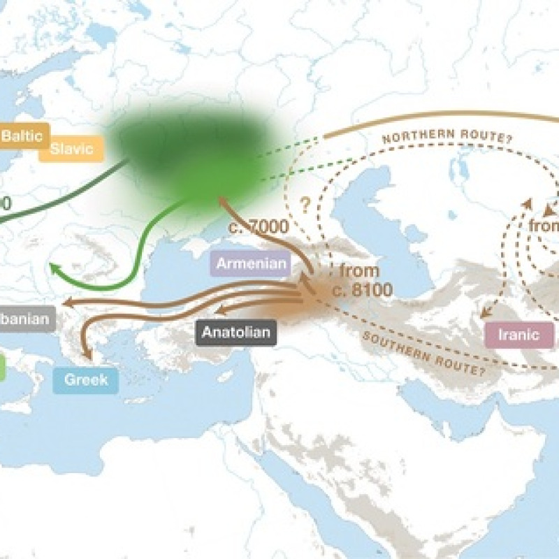 Origine ed evoluzione delle lingue indoeuropee (fonte: © P. Heggarty et al., Science 2023)