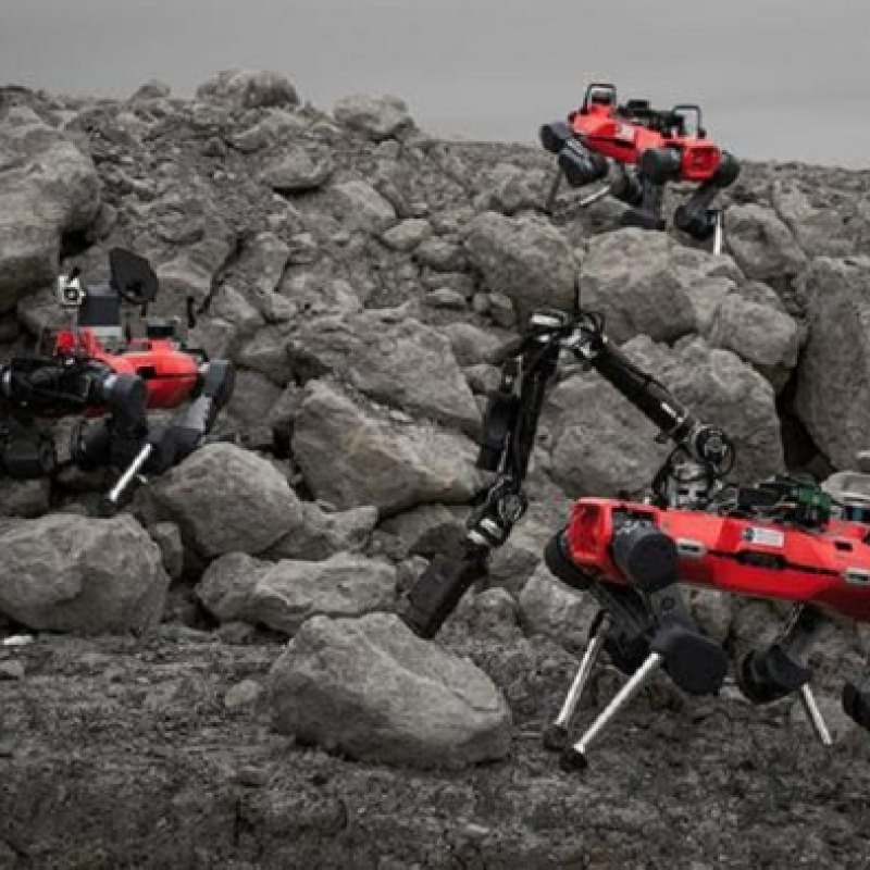 La squadra di tre astro-robot che potrebbe andare in missione sulla Luna (fonte: ETH Zurich / Takahiro Miki)