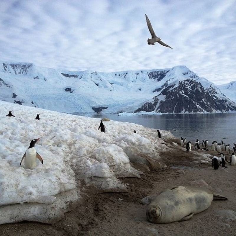 Antarctic permafrost emitting CO2 too (credit: Pxfuel)