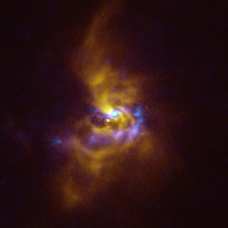 Al centro la stella V960 Mon, circondata da polveri (fonte: ESO/ALMA (ESO/NAOJ/NRAO)/Weber et al.)