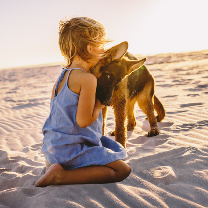 Una bambina in spiaggia abbraccia il suo cucciolo di cane foto iStock.