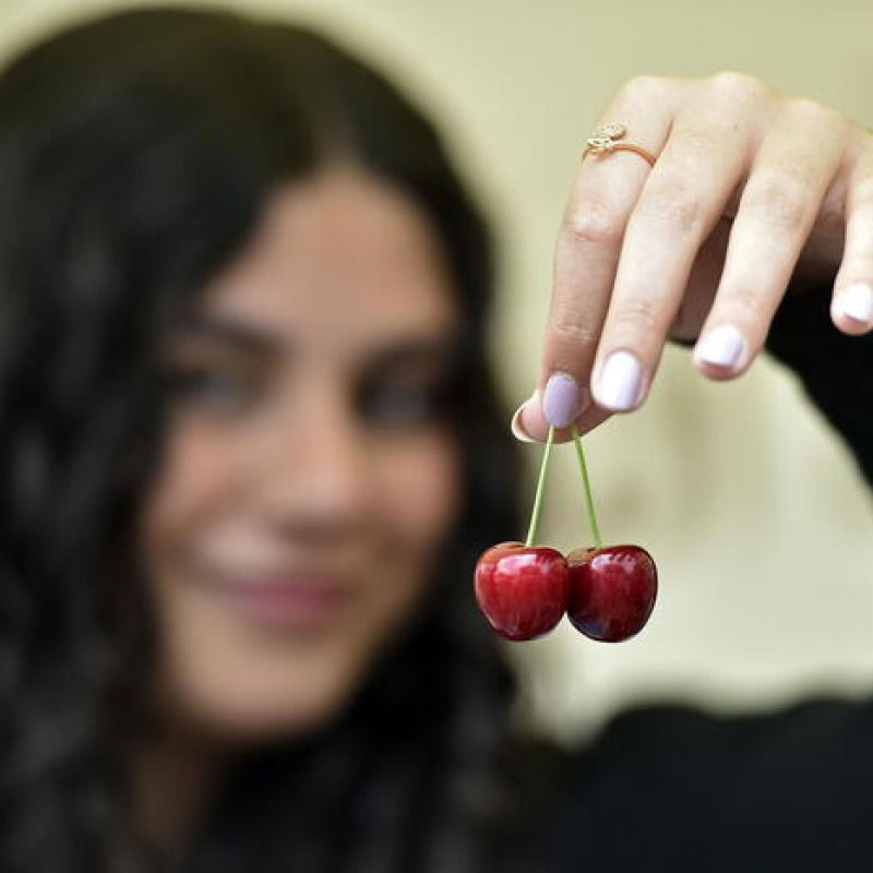 Cherry Day in the village of Hammana