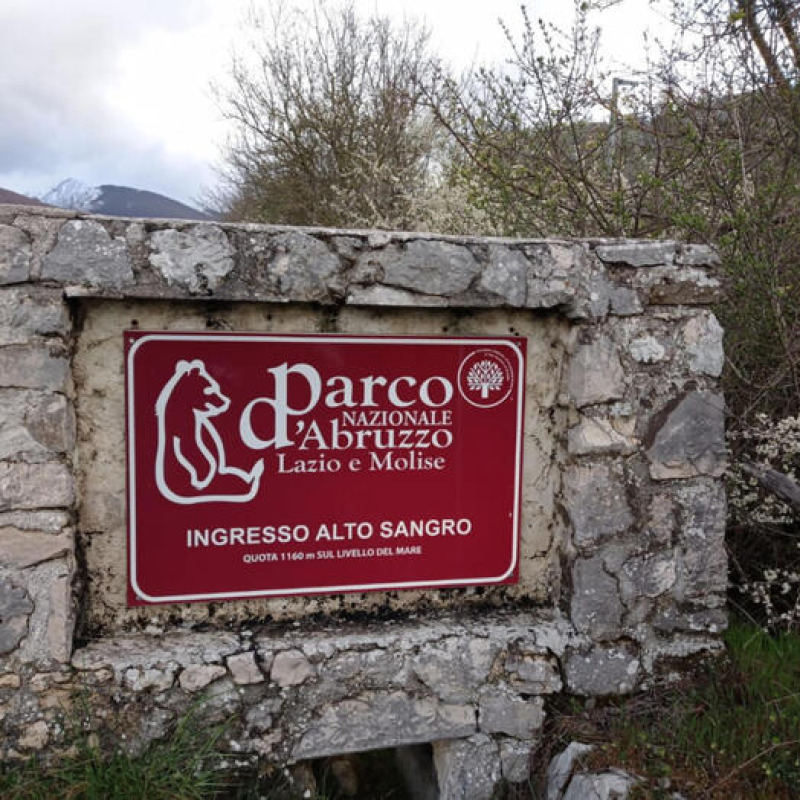 Carrozzine elettriche per visitare il Parco nazionale d'Abruzzo