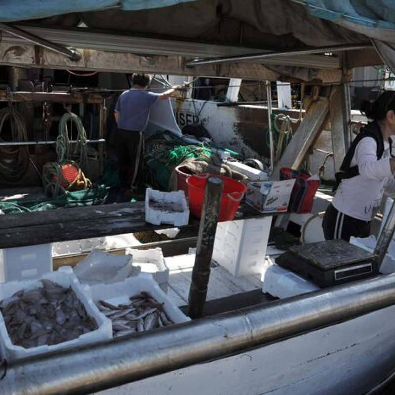 Da sabato 19 fermo pesca in tutto l'Adriatico