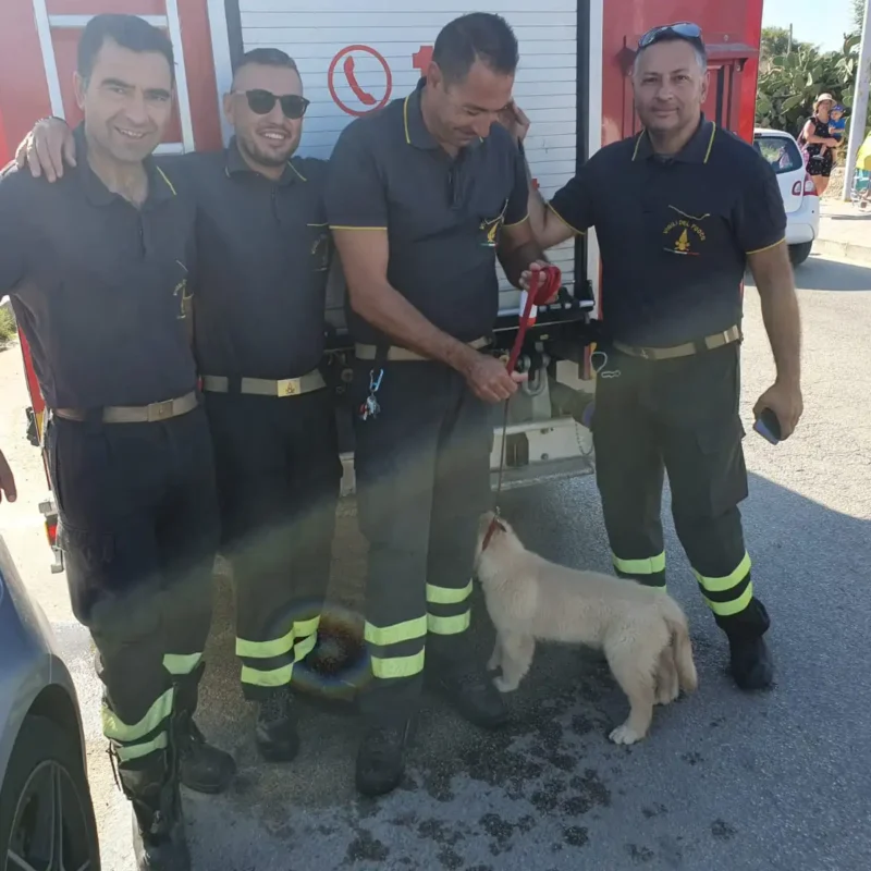 Vigili del fuoco con il Labrador salvato