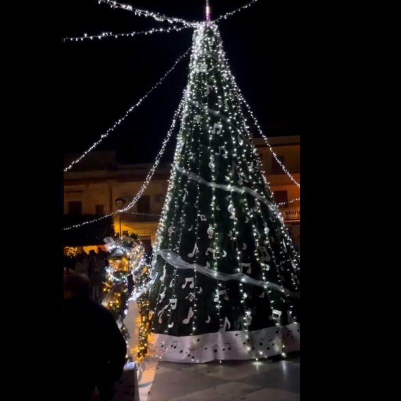 Albero di Natale a Balestrate (frame dal video di Balestratesi.it)