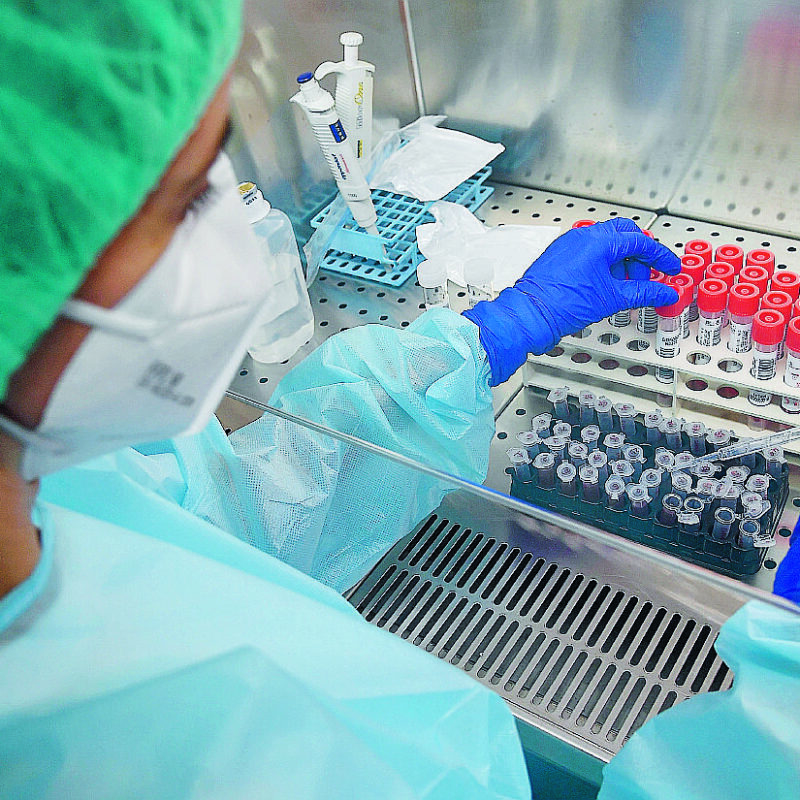 Una dottoressa processa i tamponi test Covid-19 effettuati sui pazienti, nel laboratorio del Policlinico S.Martino. Genova, 26 Maggio 2020 ANSA/LUCA ZENNARO