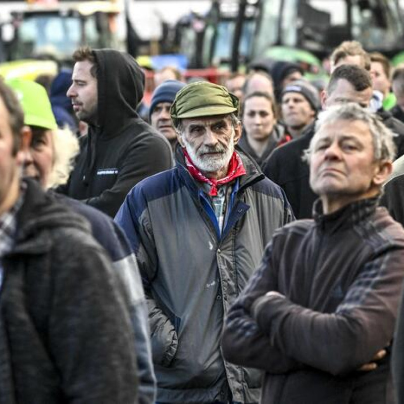 Gli agricoltori belgi verso blocco del porto di Zeebrugge