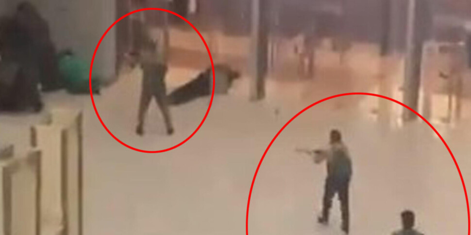 Cavallo Fatto A Mano Del Retro Giocattolo Di Legno Con Le Ruote Fotografia Stock - Immagine Di - Foto 11