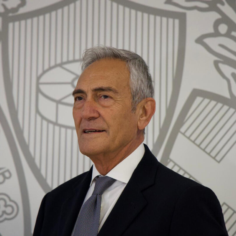Il presidente della Figc, Gabriele Gravina