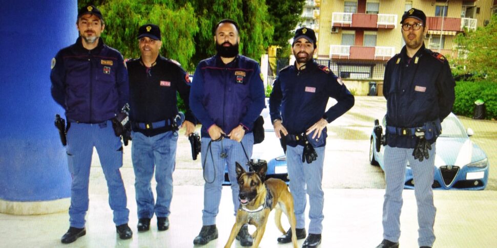 La Preside Chiama La Polizia E Scatta Il Blitz Antidroga In Una Scuola ...