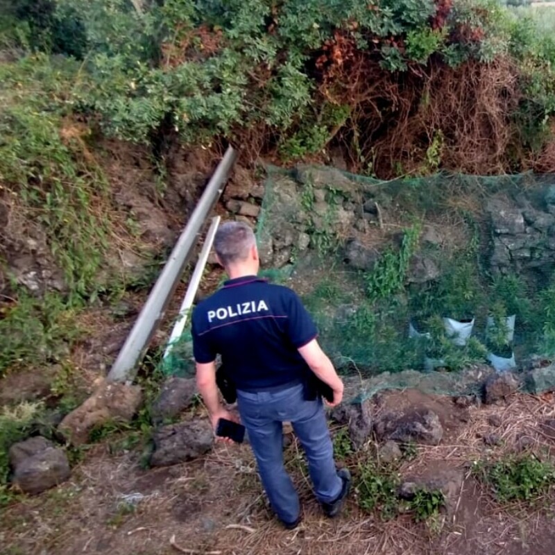 piantagione cannabis adrano catania