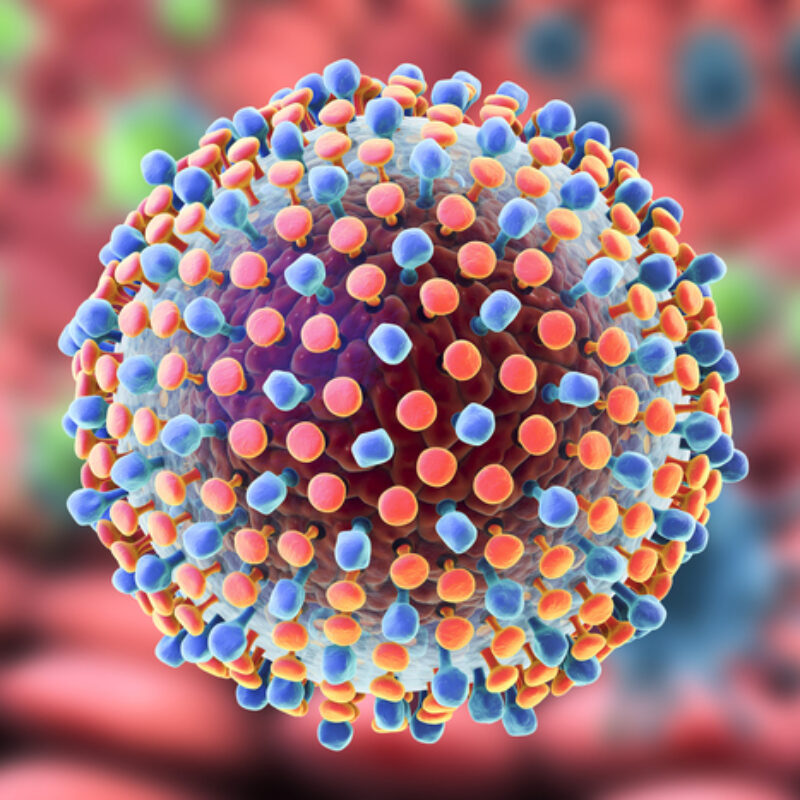 Hepatitis C virus model, 3D illustration. A virus consists of a protein coat capsid surrounding RNA and outer lipoprotein envelope with two types of glycoprotein spikes, E1 and E2