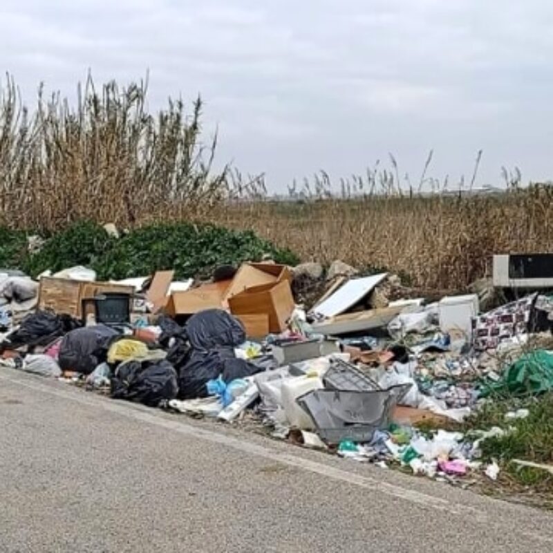 L'impianto di contrada Belvedere a Trapani