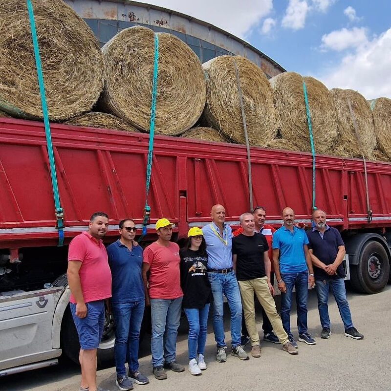 La distribuzione del fieno al centro di Agira