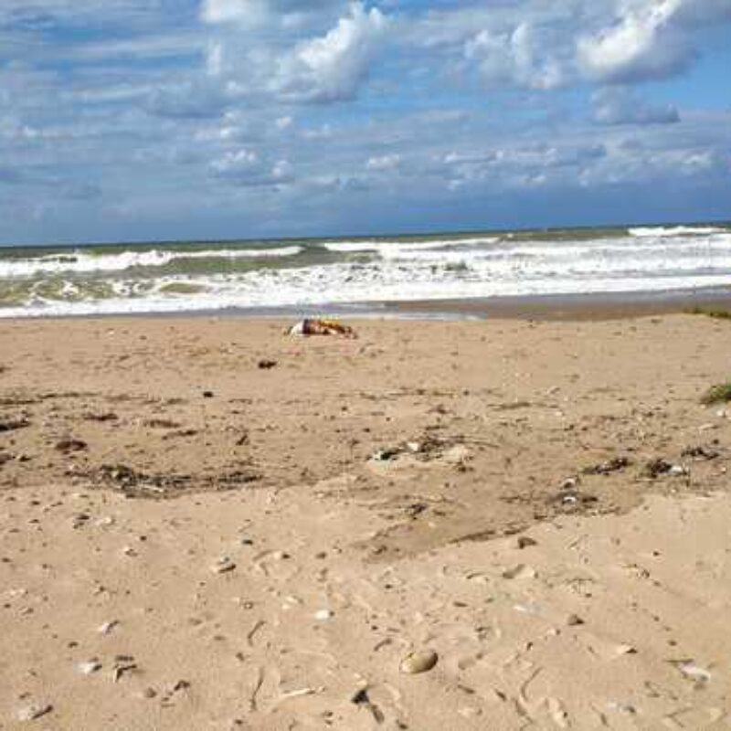 carini spiaggia