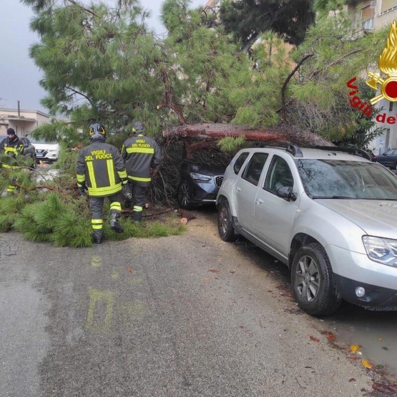 albero caduto in via Crispi