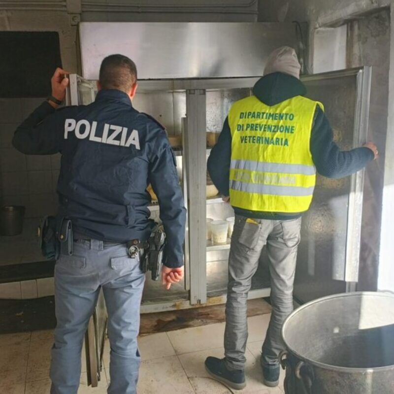 Allevatore di Catania con caseificio e panificio abusivi