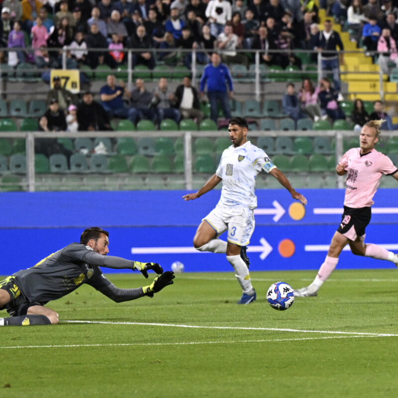Palermo 13/05/2025: durante la partita di Serie B Palermo vs Carrarese allo Stadio Renzo Barbera di Palermo(Foto Tullio Puglia)
