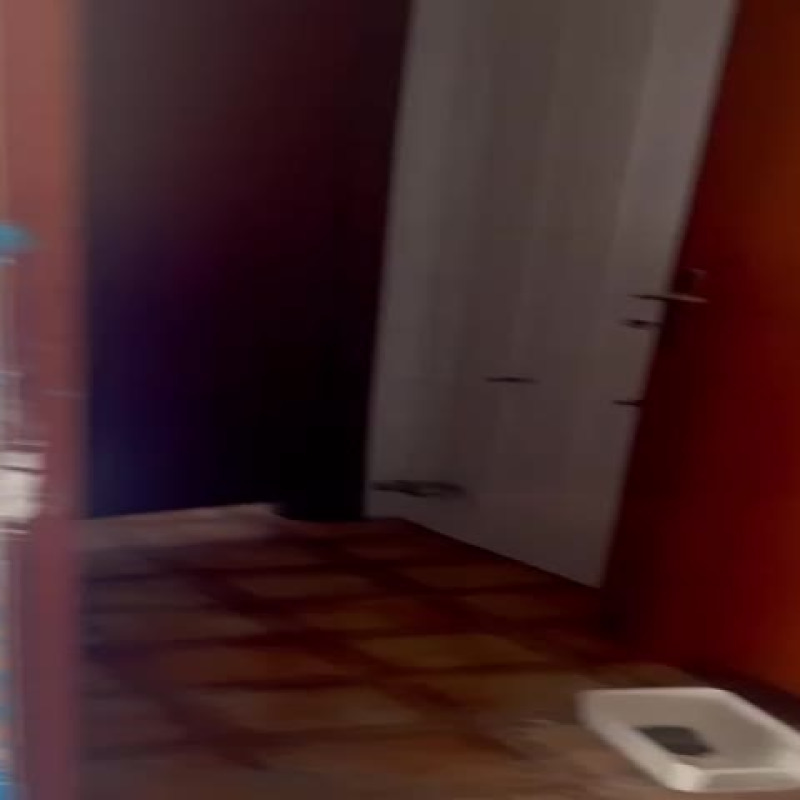 Vandalismo a Borgo Nuovo, devastato il plesso Borsellino di largo Camastra